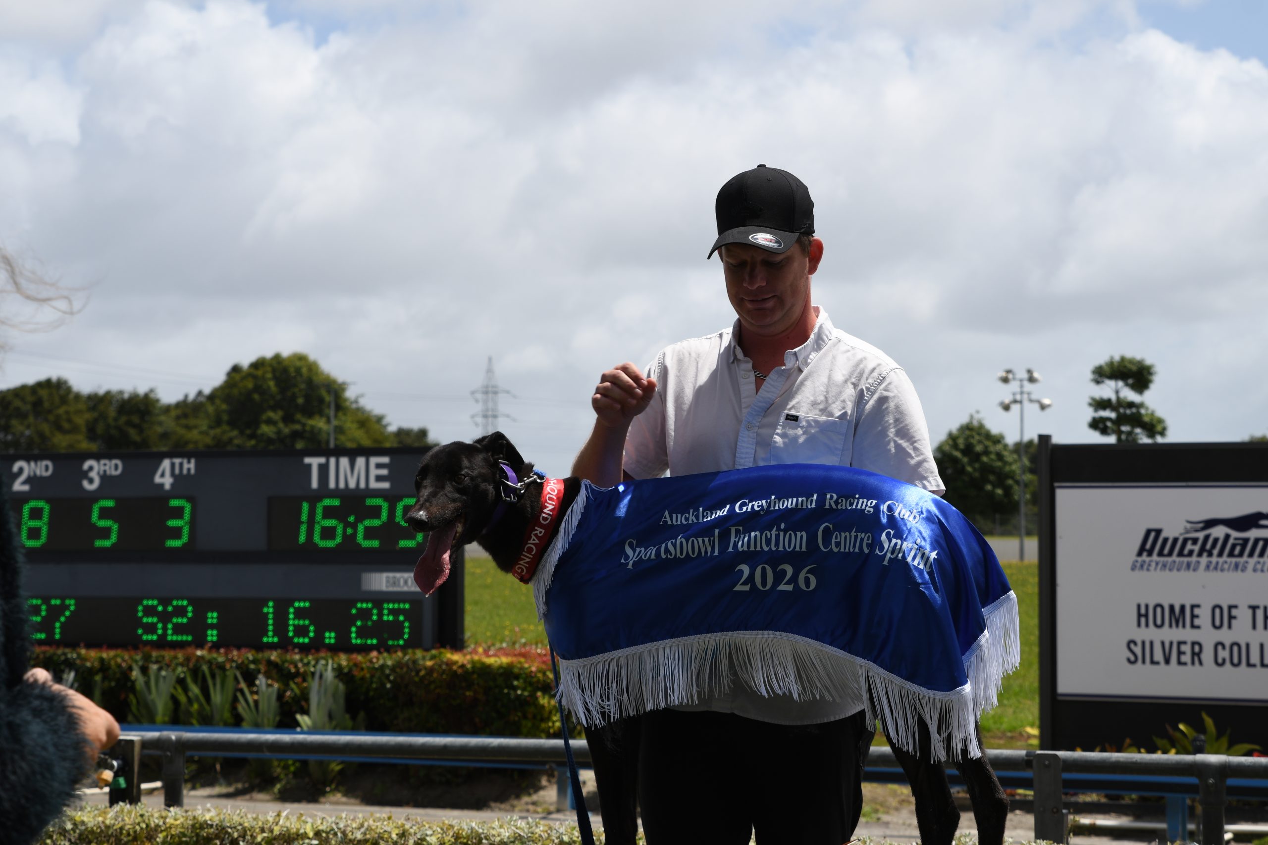 25 JANUARY 2026 (Auckland Cup & Railway Sprint)