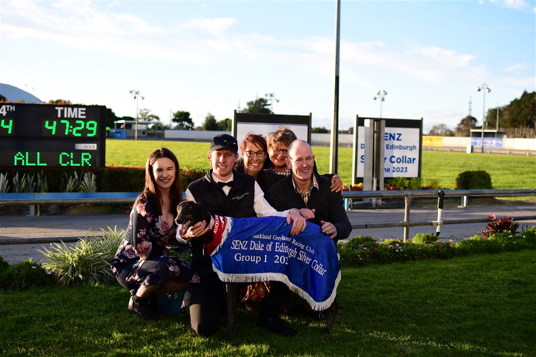 2023 SENZ Duke Of Edinburgh Silver Collar winner: Goldstar Carlito, trained by RL Evans