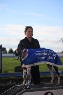 Waterloo cup