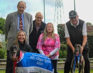 Quintessential garden Quintessential garden