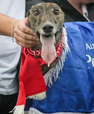 Sinead Bale Sinead Bale