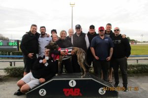 R11 Lion's Den R11 Lion's Den