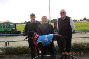 R2 Nordic Delight R2 Nordic Delight