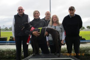 R3 Fritillary R3 Fritillary