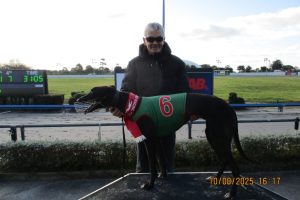 R9 Papa Kiwi R9 Papa Kiwi