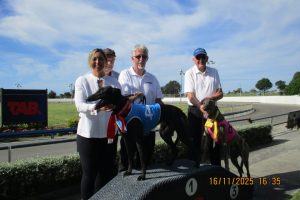 R10 Turtle Watch R10 Turtle Watch