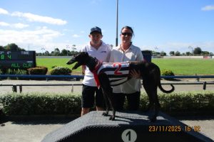 R12 Epic Wildman R12 Epic Wildman