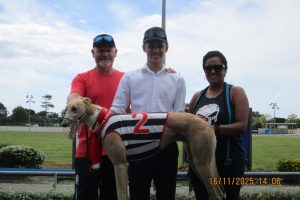 R4 Apricot Slice R4 Apricot Slice