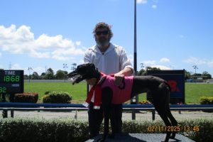 R4 Not Like Us R4 Not Like Us