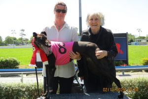 R5 Highs And Lows R5 Highs And Lows