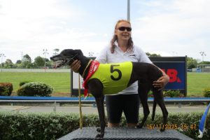 R8 Mega Power R8 Mega Power