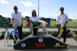 R8 Opawa Randy R8 Opawa Randy