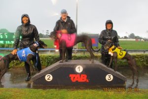 R9 Portland Andy R9 Portland Andy