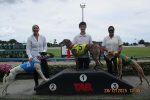 R2.Group Boom Kiwi