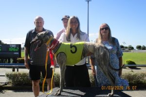 R11 Wolfman Jack R11 Wolfman Jack