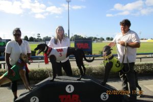 R4.Group Midnight Rex