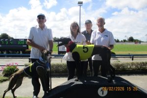 R9 Turtle Watch R9 Turtle Watch