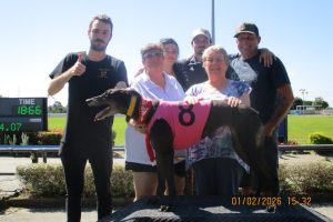 R9 Wild Pansy R9 Wild Pansy