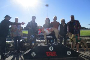 R6.Group Opawa Toby